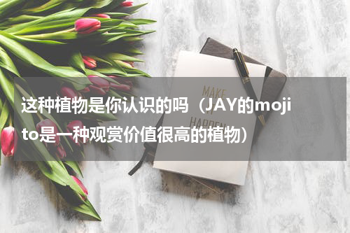 这种植物是你认识的吗（JAY的mojito是一种观赏价值很高的植物）