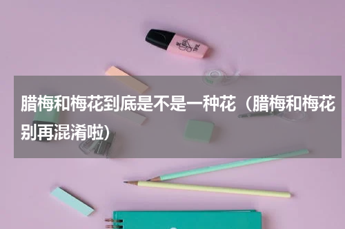 腊梅和梅花到底是不是一种花（腊梅和梅花别再混淆啦）