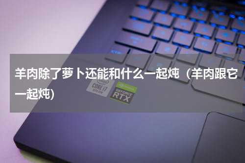 羊肉除了萝卜还能和什么一起炖（羊肉跟它一起炖）