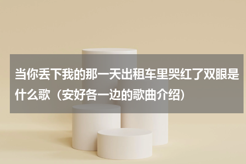 当你丢下我的那一天出租车里哭红了双眼是什么歌（安好各一边的歌曲介绍）
