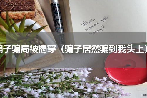 骗子骗局被揭穿（骗子居然骗到我头上）