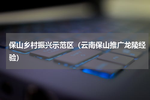 保山乡村振兴示范区（云南保山推广龙陵经验）