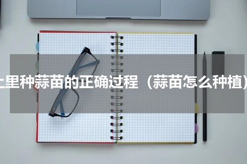 土里种蒜苗的正确过程（蒜苗怎么种植）