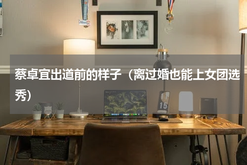 蔡卓宜出道前的样子（离过婚也能上女团选秀）