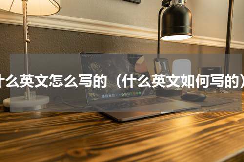 什么英文怎么写的（什么英文如何写的）