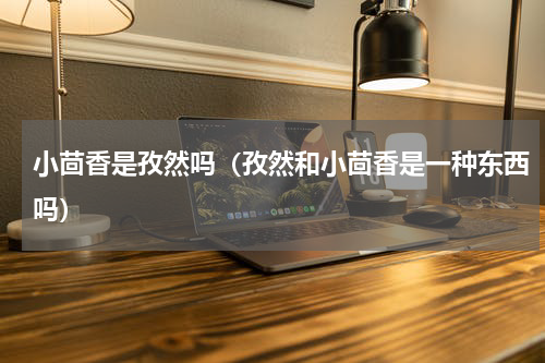 小茴香是孜然吗（孜然和小茴香是一种东西吗）
