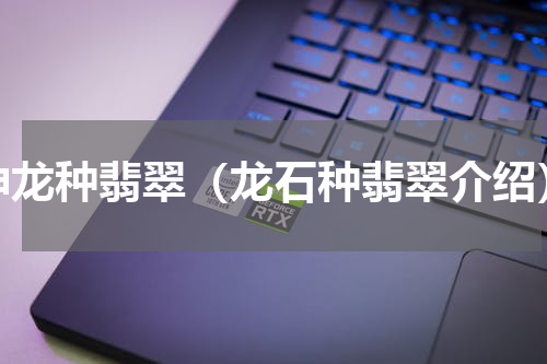神龙种翡翠（龙石种翡翠介绍）