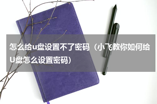 怎么给u盘设置不了密码（小飞教你如何给U盘怎么设置密码）