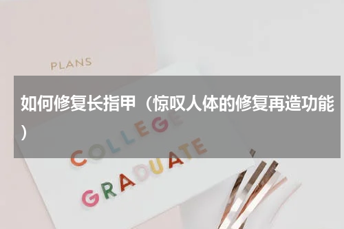 如何修复长指甲（惊叹人体的修复再造功能）