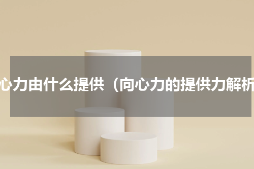 向心力由什么提供（向心力的提供力解析）