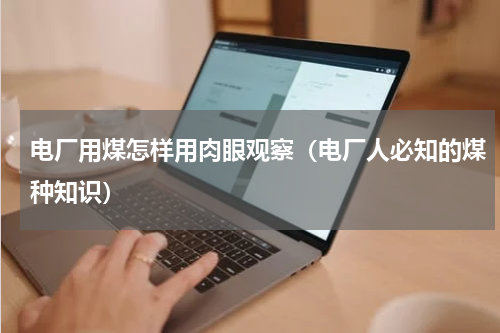 电厂用煤怎样用肉眼观察（电厂人必知的煤种知识）