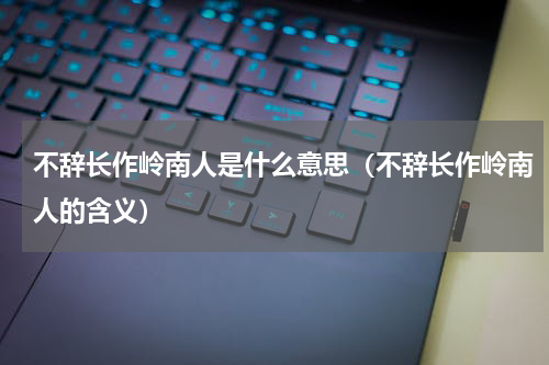 不辞长作岭南人是什么意思（不辞长作岭南人的含义）