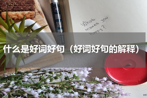 什么是好词好句（好词好句的解释）