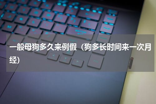 一般母狗多久来例假（狗多长时间来一次月经）