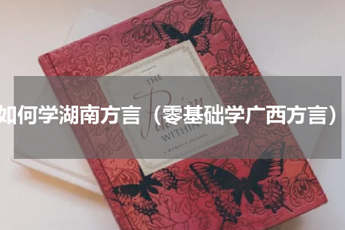 如何学湖南方言（零基础学广西方言）