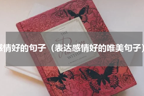 感情好的句子（表达感情好的唯美句子）