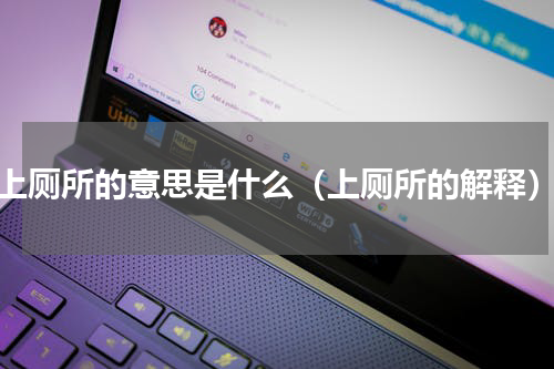 上厕所的意思是什么（上厕所的解释）