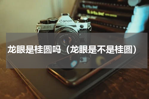 龙眼是桂圆吗（龙眼是不是桂圆）