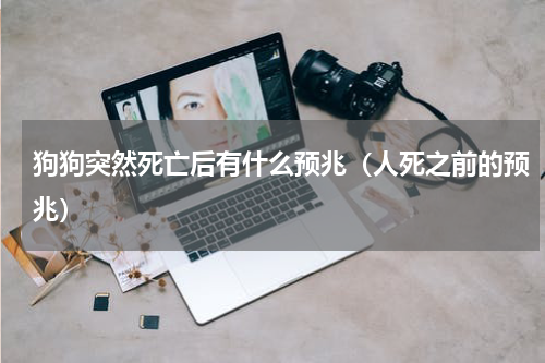 狗狗突然死亡后有什么预兆（人死之前的预兆）