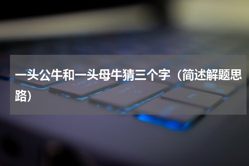 一头公牛和一头母牛猜三个字（简述解题思路）