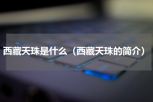 西藏天珠是什么（西藏天珠的简介）