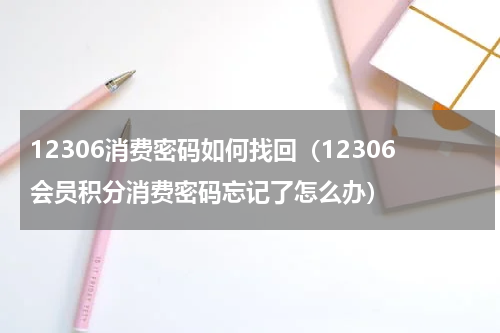 12306消费密码如何找回（12306会员积分消费密码忘记了怎么办）