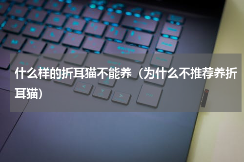 什么样的折耳猫不能养（为什么不推荐养折耳猫）