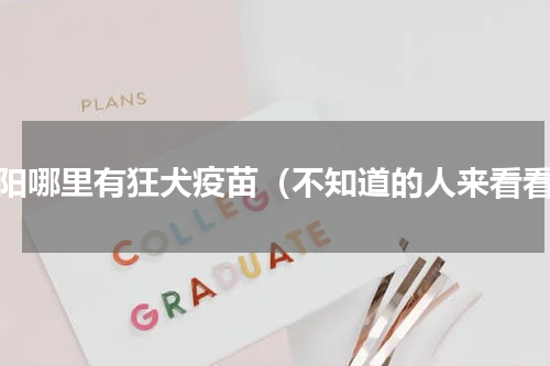 贵阳哪里有狂犬疫苗（不知道的人来看看）