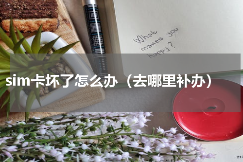 sim卡坏了怎么办（去哪里补办）