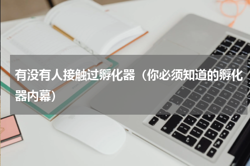 有没有人接触过孵化器（你必须知道的孵化器内幕）