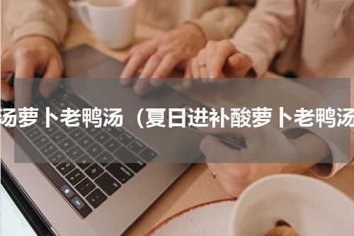 酸汤萝卜老鸭汤（夏日进补酸萝卜老鸭汤）