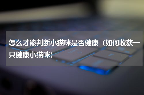 怎么才能判断小猫咪是否健康（如何收获一只健康小猫咪）