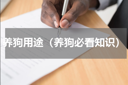 养狗用途（养狗必看知识）