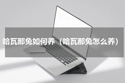 哈瓦那兔如何养（哈瓦那兔怎么养）