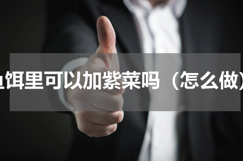 鱼饵里可以加紫菜吗（怎么做）