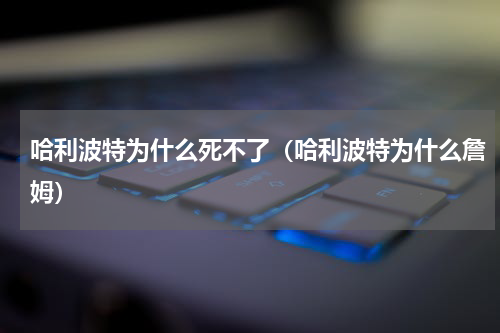 哈利波特为什么死不了（哈利波特为什么詹姆）