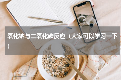 氧化钠与二氧化碳反应（大家可以学习一下）