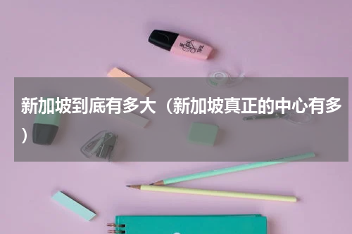 新加坡到底有多大（新加坡真正的中心有多）