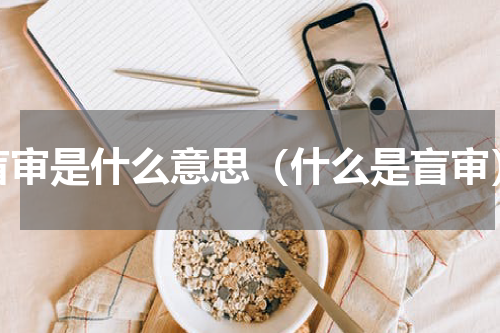 盲审是什么意思（什么是盲审）
