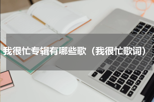 我很忙专辑有哪些歌（我很忙歌词）