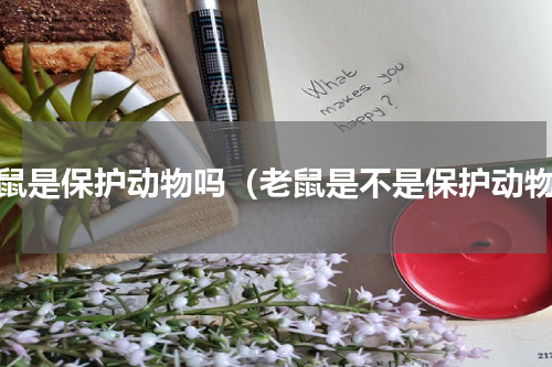 老鼠是保护动物吗（老鼠是不是保护动物）
