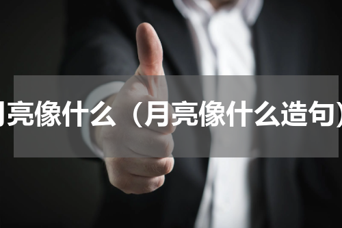 月亮像什么（月亮像什么造句）