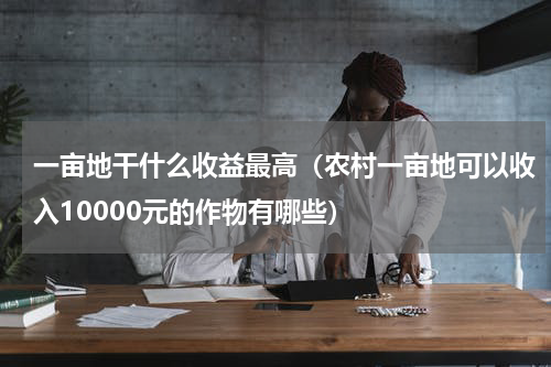 一亩地干什么收益最高（农村一亩地可以收入10000元的作物有哪些）