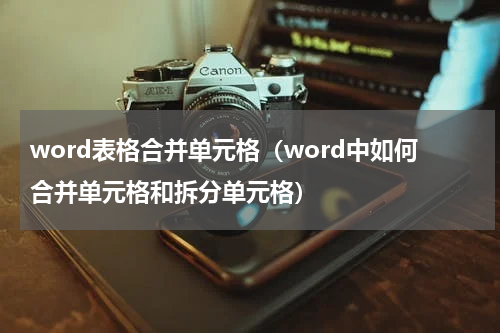 word表格合并单元格（word中如何合并单元格和拆分单元格）