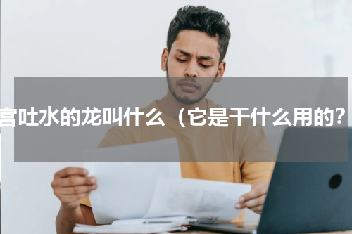 故宫吐水的龙叫什么（它是干什么用的？）