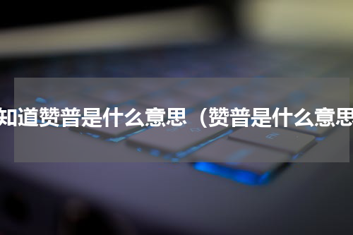 谁知道赞普是什么意思（赞普是什么意思）