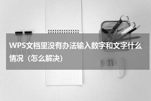 WPS文档里没有办法输入数字和文字什么情况（怎么解决）