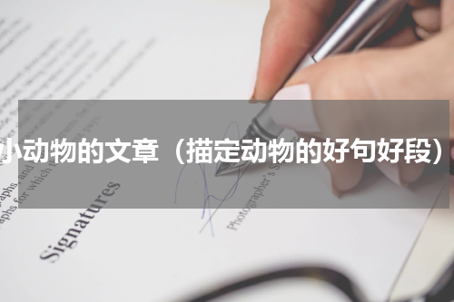 小动物的文章（描定动物的好句好段）