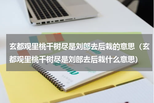 玄都观里桃千树尽是刘郎去后栽的意思（玄都观里桃千树尽是刘郎去后栽什么意思）