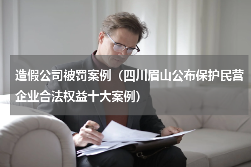 造假公司被罚案例（四川眉山公布保护民营企业合法权益十大案例）